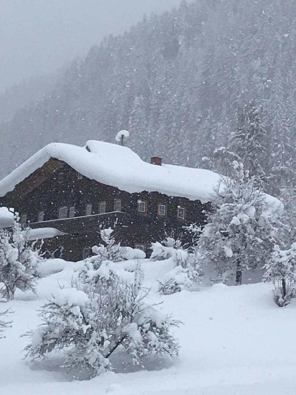 Arlerhof Lägenhet Untertauern Exteriör bild