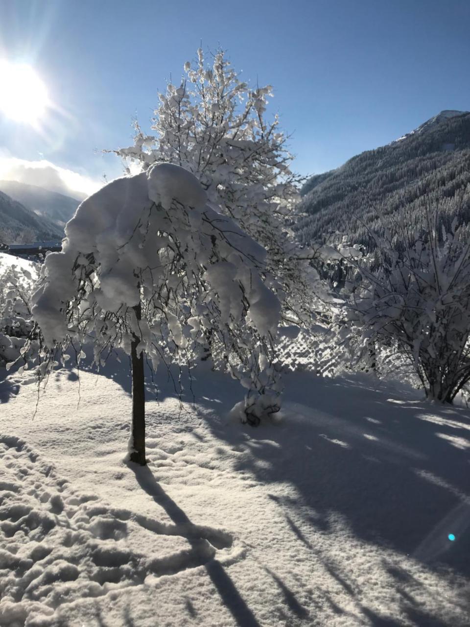 Arlerhof Lägenhet Untertauern Exteriör bild
